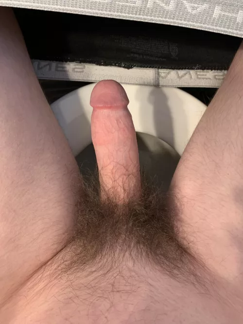 Hairy college sophomore, what do you think?