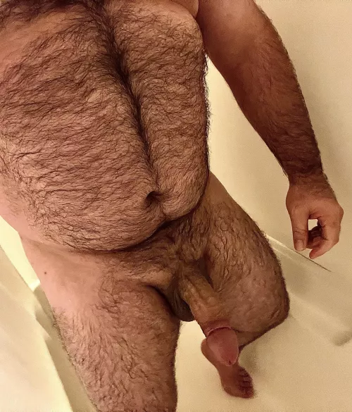 Hairy daddy (50)