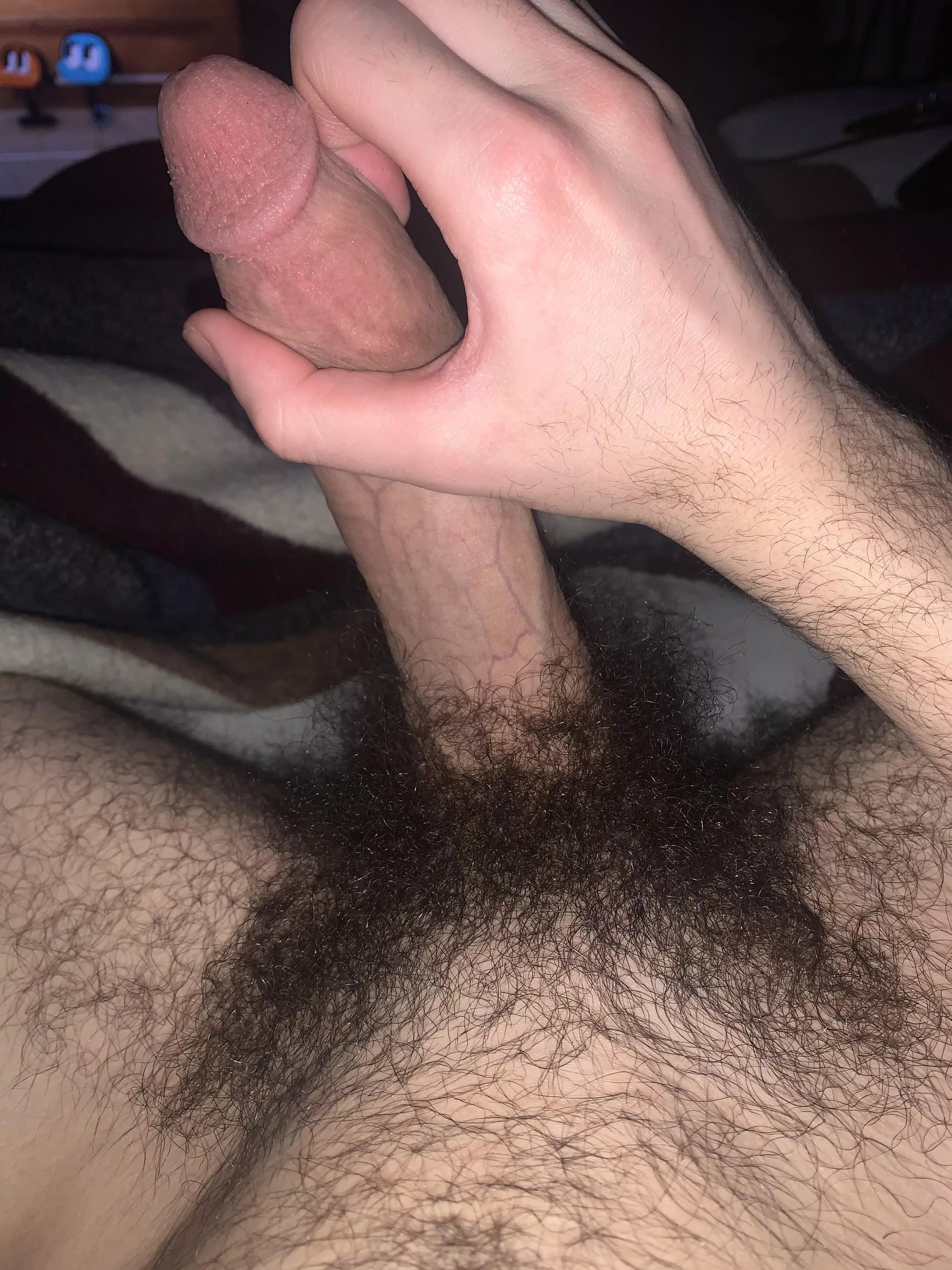 Hairy Dicks