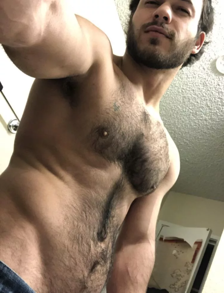 Hairy enough for ya? Hairy enough for ya?