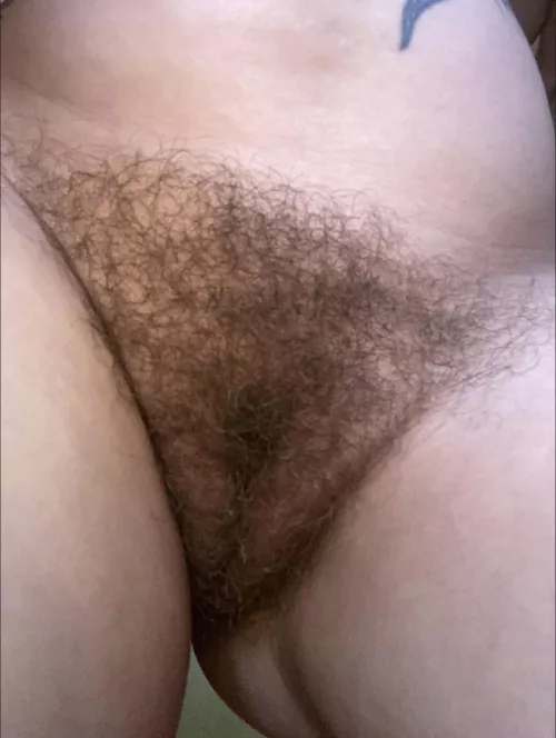 Hairy enough for you? Hairy enough for you?
