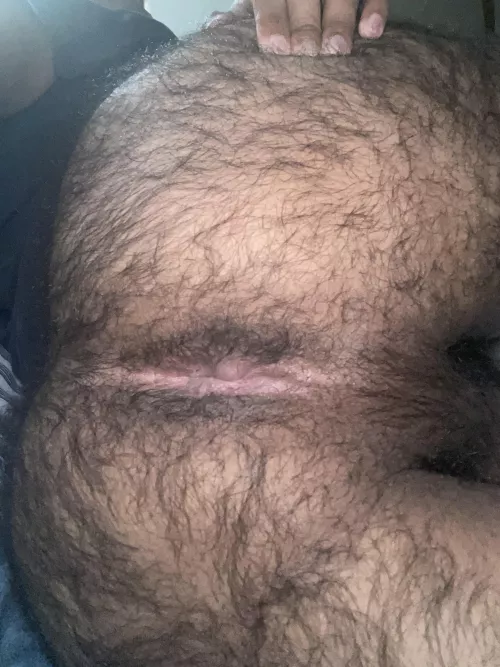 Hairy enough for you? π