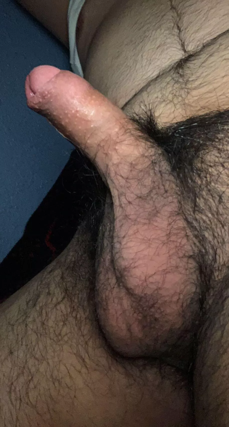 Hairy enough to be on here ?
