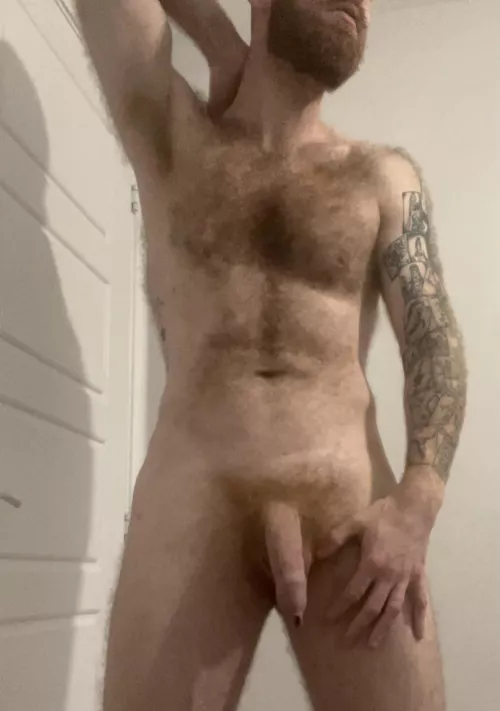 🇬🇧 hairy ginger daddy!