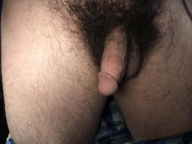 Hairy, horny, and home from work. Who wants to make my night ππ€€