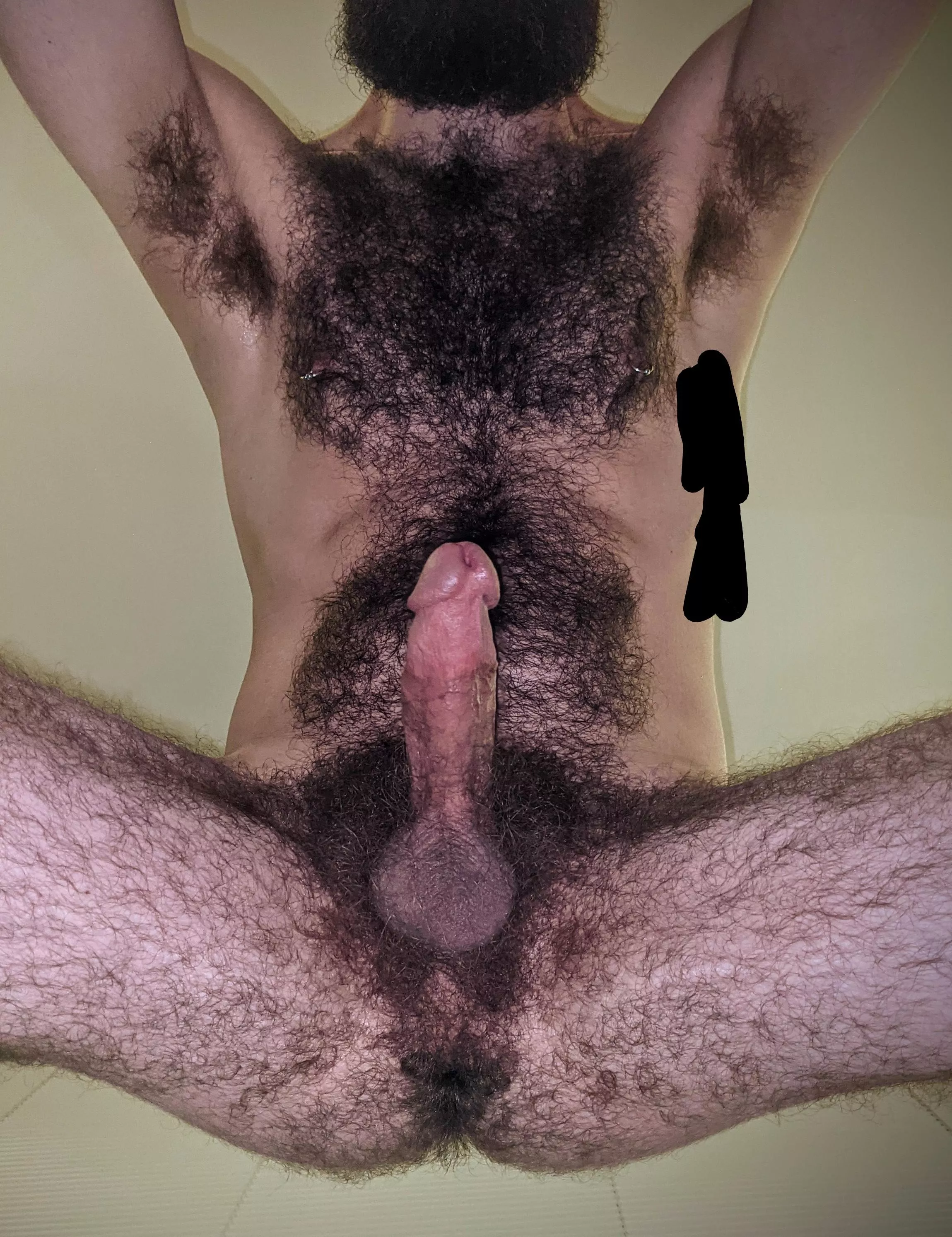 Hairy porno asses but HD Tube