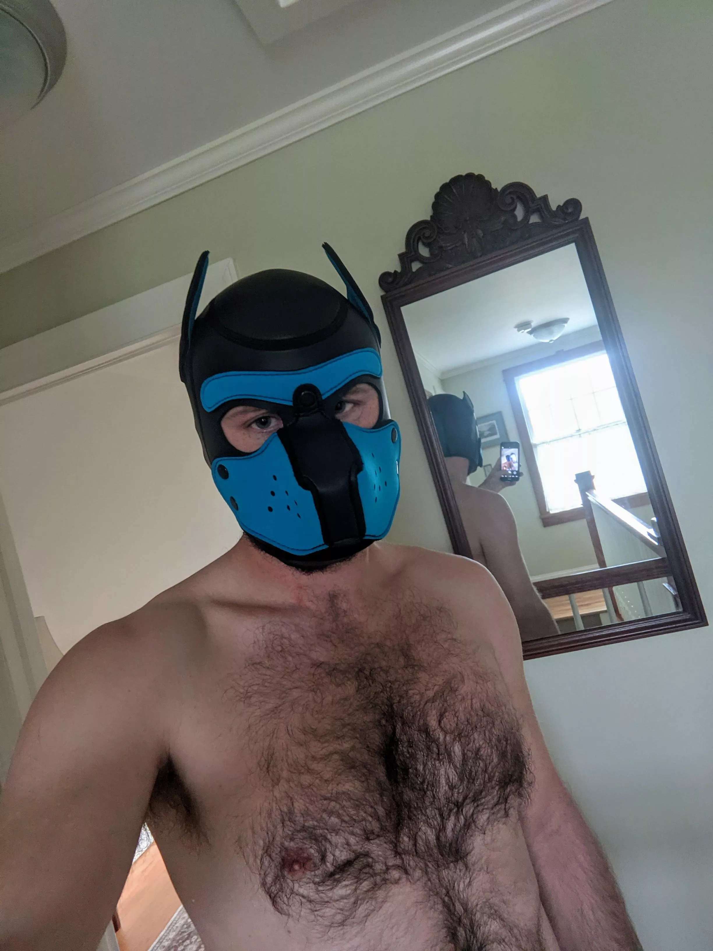 Hairy pup Hairy pup