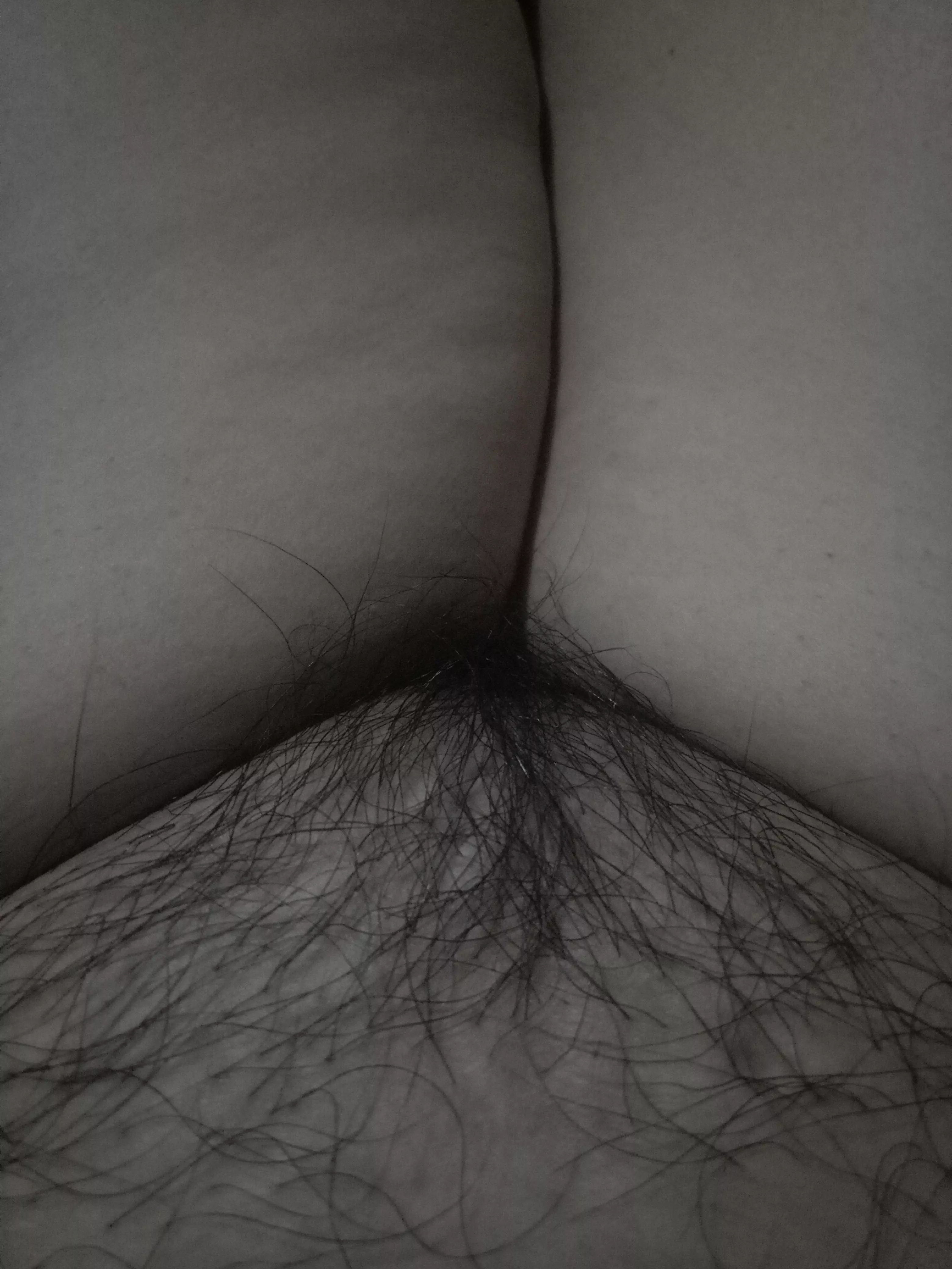 hairy pussy hairy pussy
