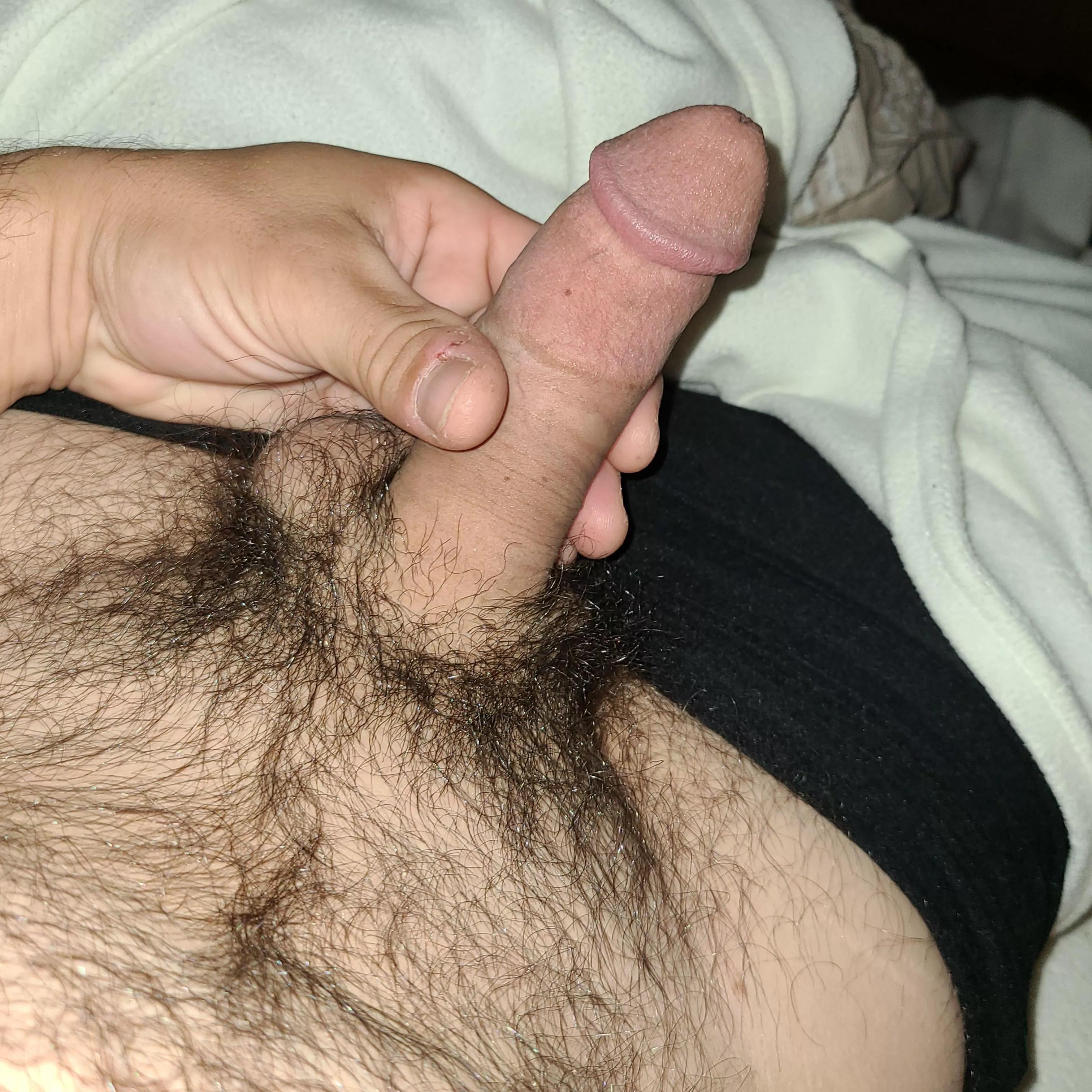 Hairy semi-hard Hairy semi-hard