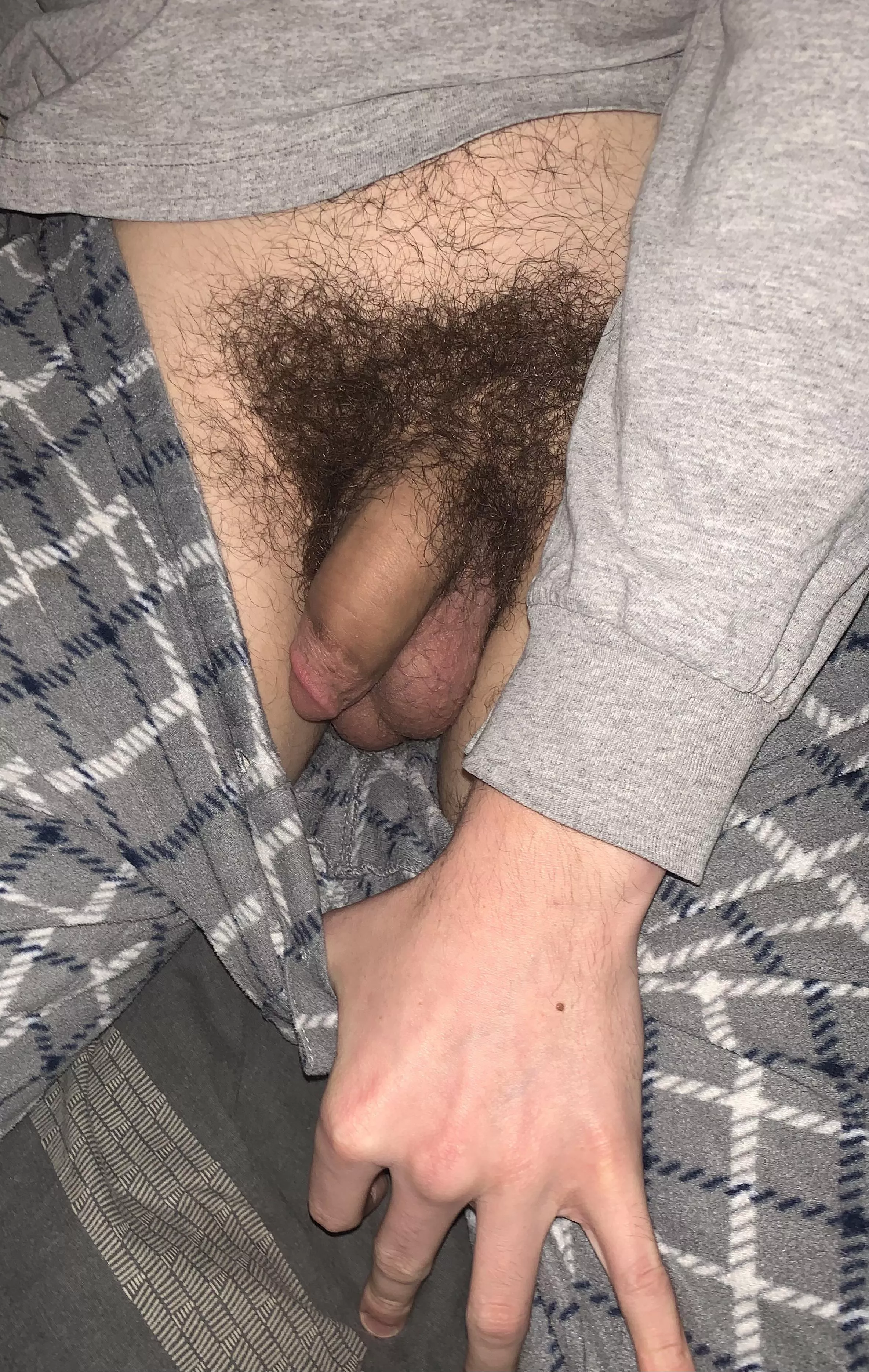 Hairy soft cock Hairy soft cock