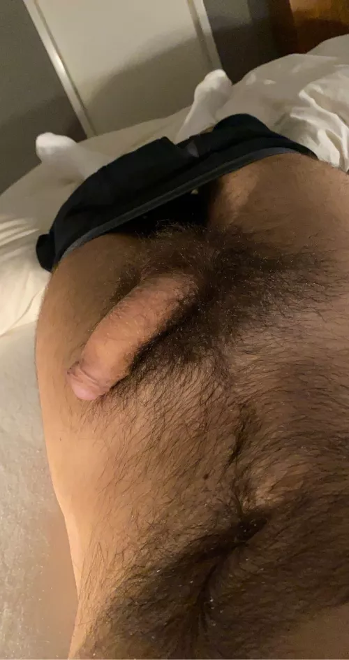 Hairy softie and white socks, any likes?