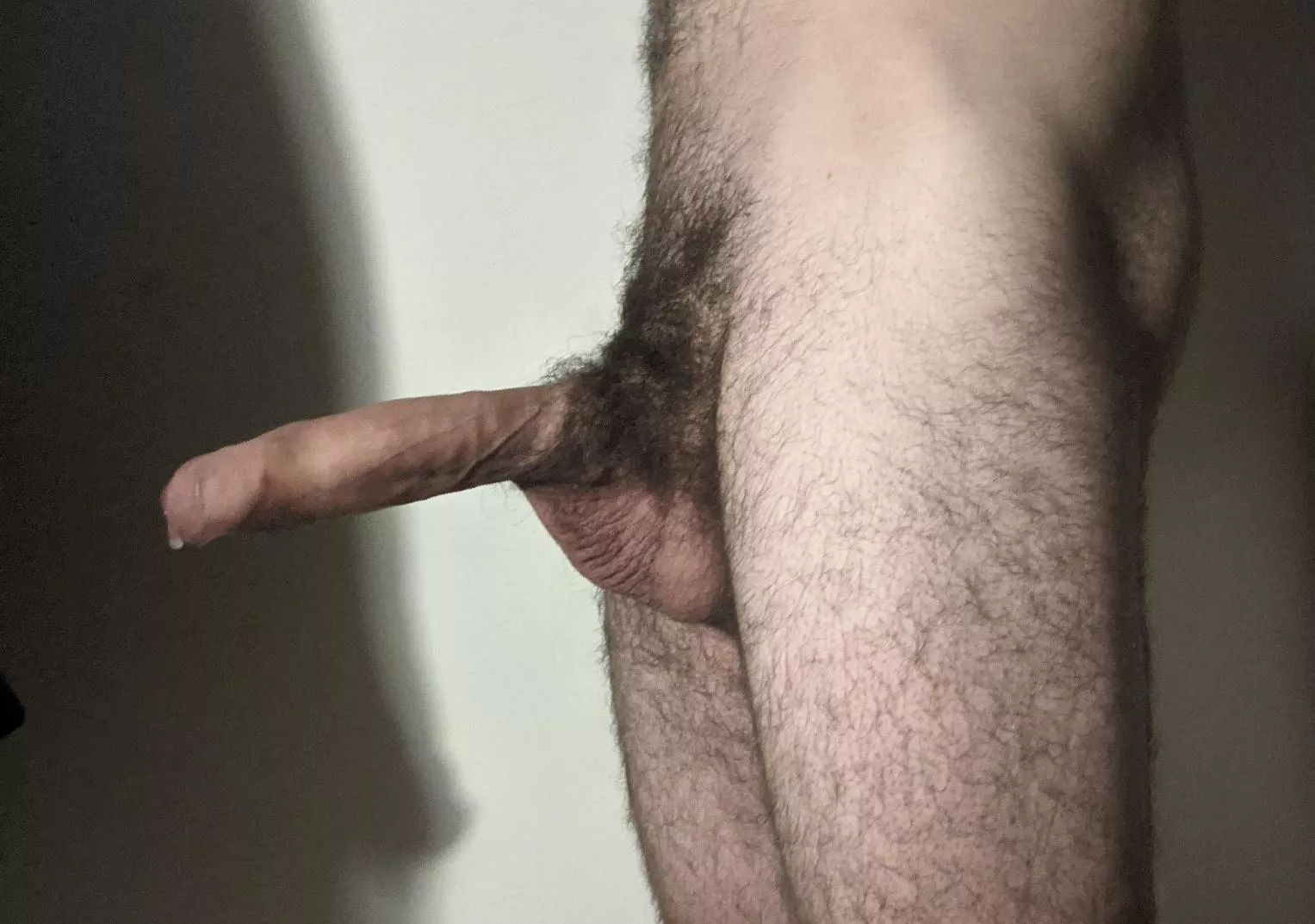 Hairy Hairy