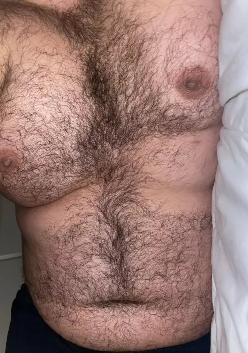 Hairy with a belly Hairy with a belly