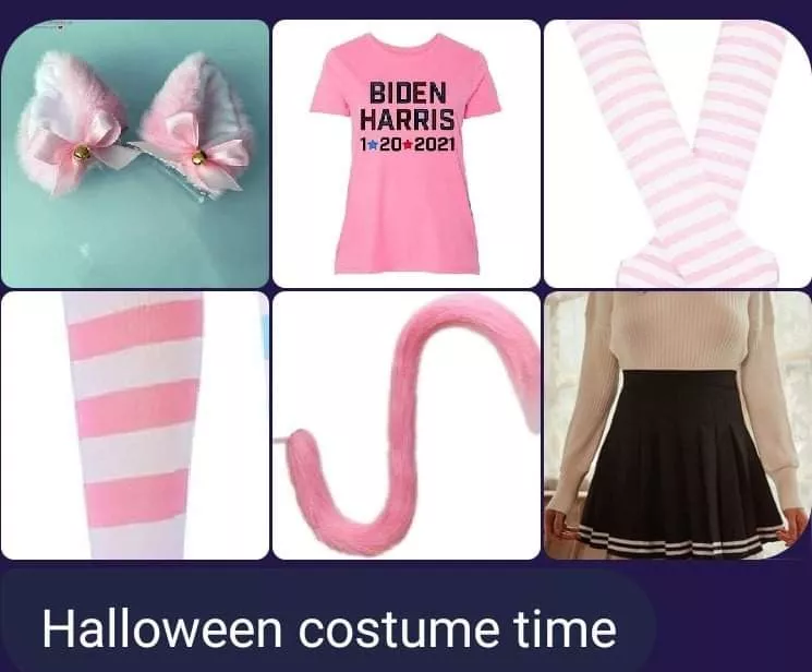 Halloween costume has been ordered π Halloween costume has been ordered π