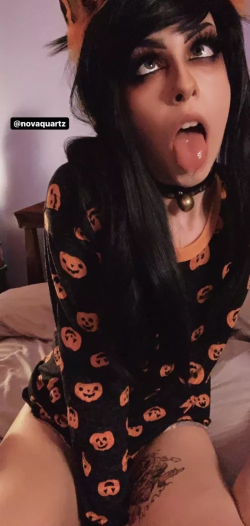 Halloween kitten🧡🖤 Halloween kitten🧡🖤