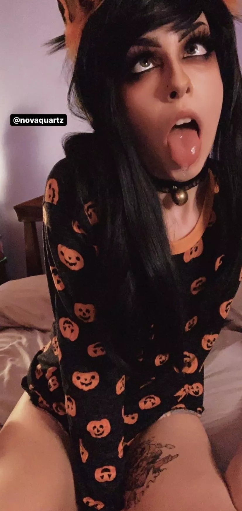 Halloween kitten🧡🖤