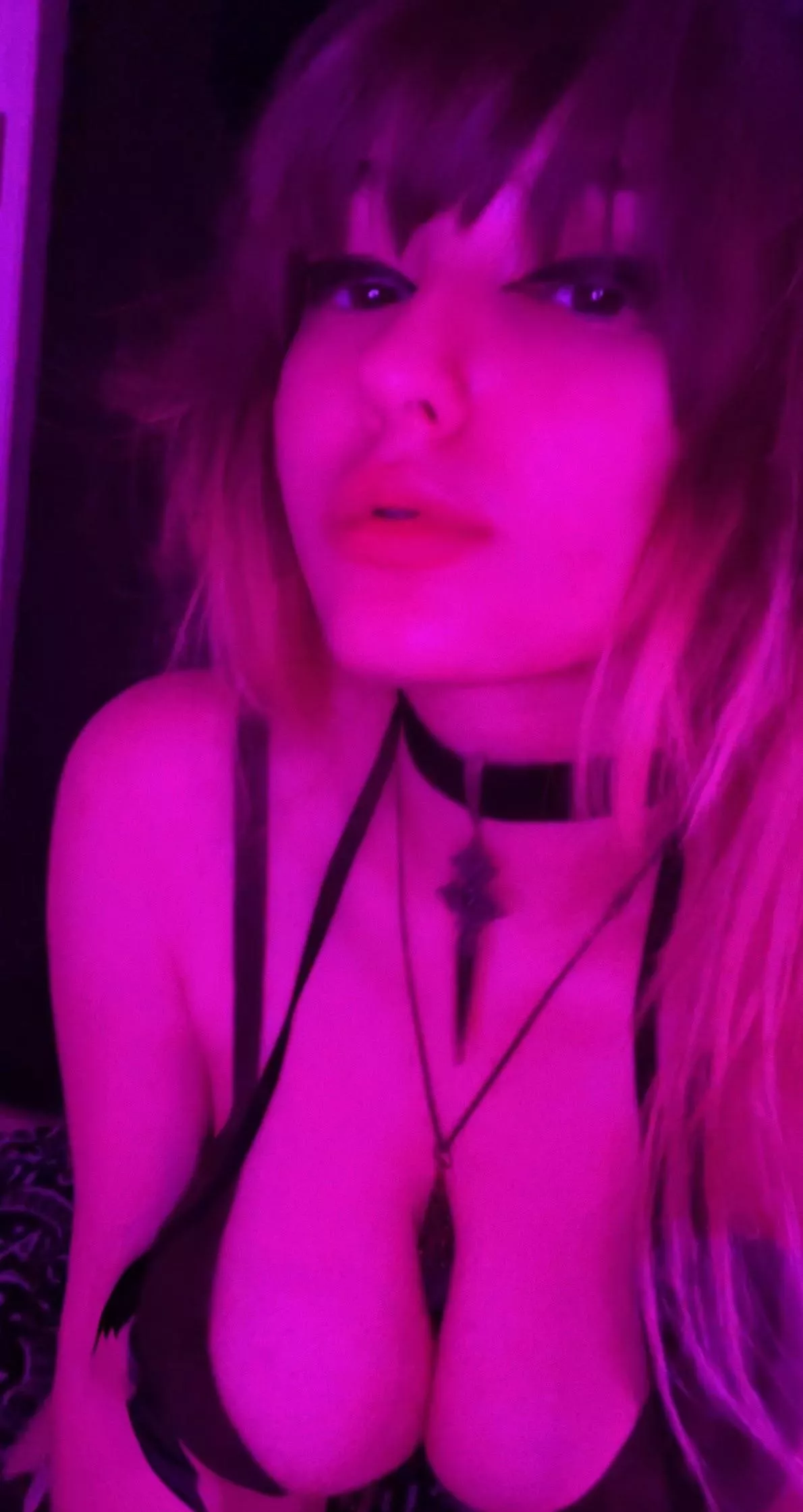 halloween themed bikini ! 𓆩🎃𓆪 halloween themed bikini ! 𓆩🎃𓆪