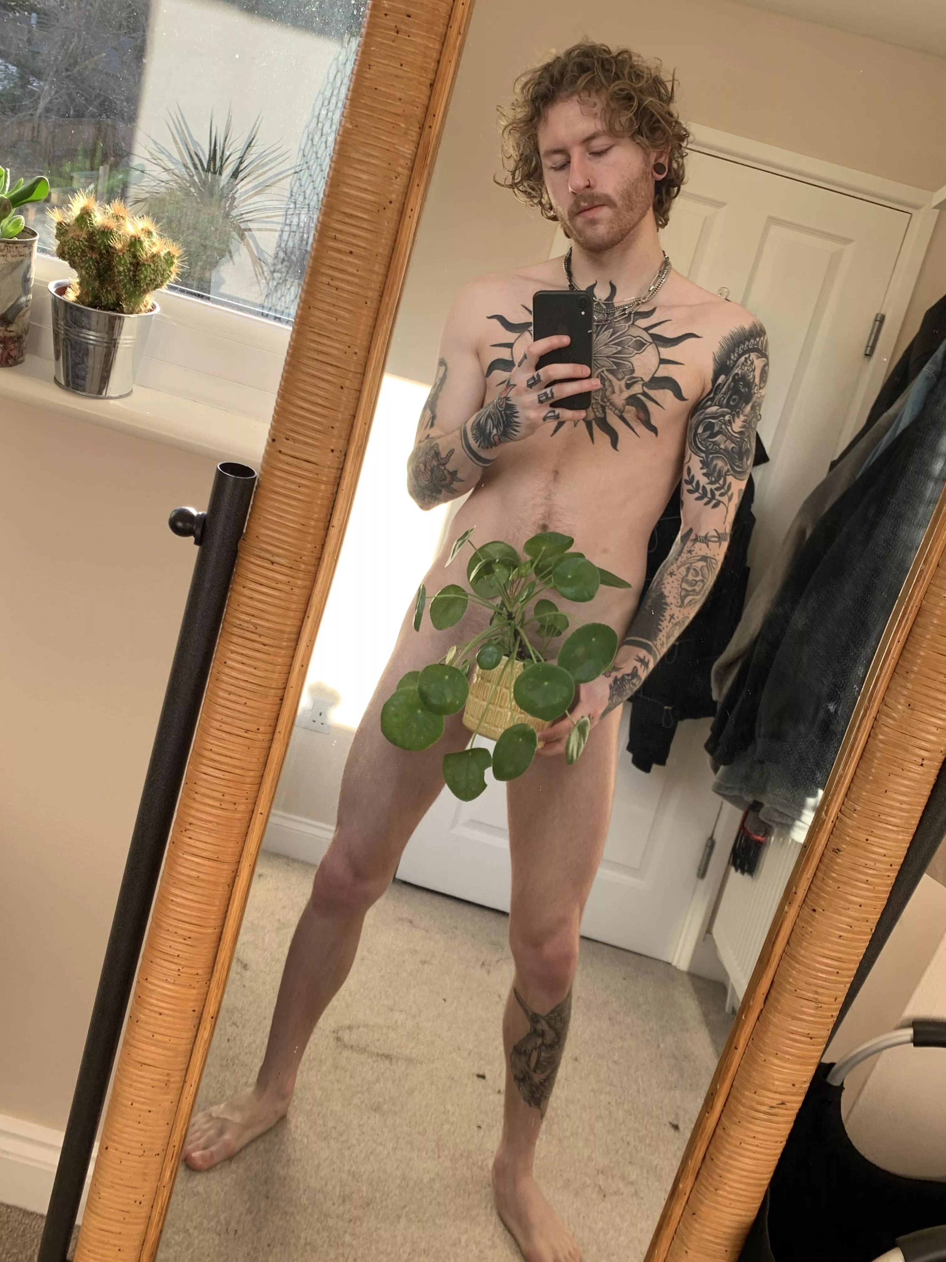 hand over ur plants
