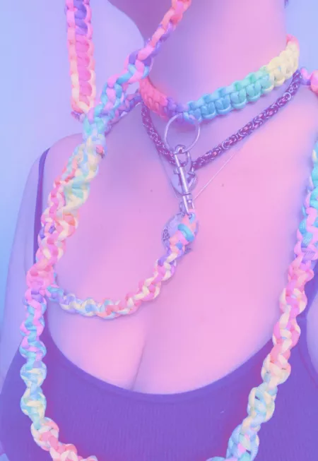 Handmade Paracord Collar and Leash ๐ค
