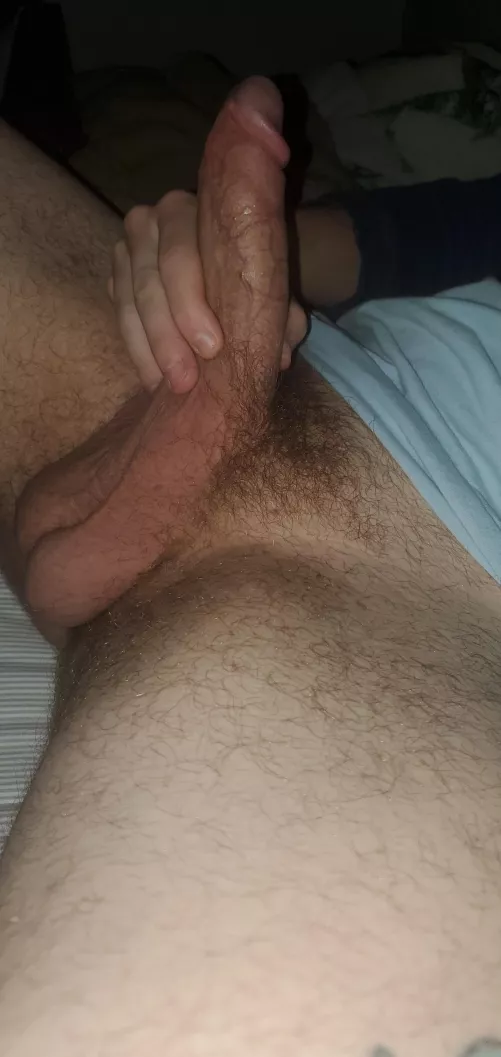 Hanging low tn. Dms open