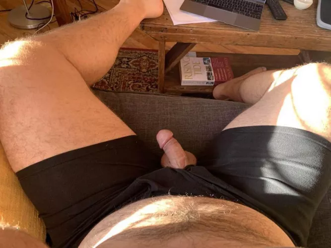 Hanging out in the sun