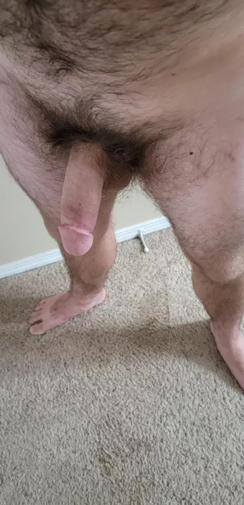 Hanging, patiently waiting for you