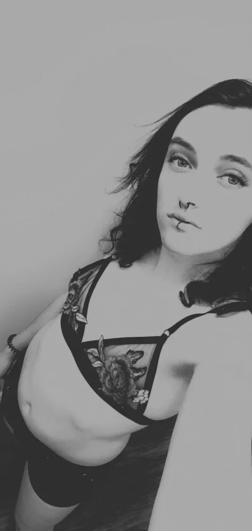 Happy Canadian Thanksgiving Happy Canadian Thanksgiving