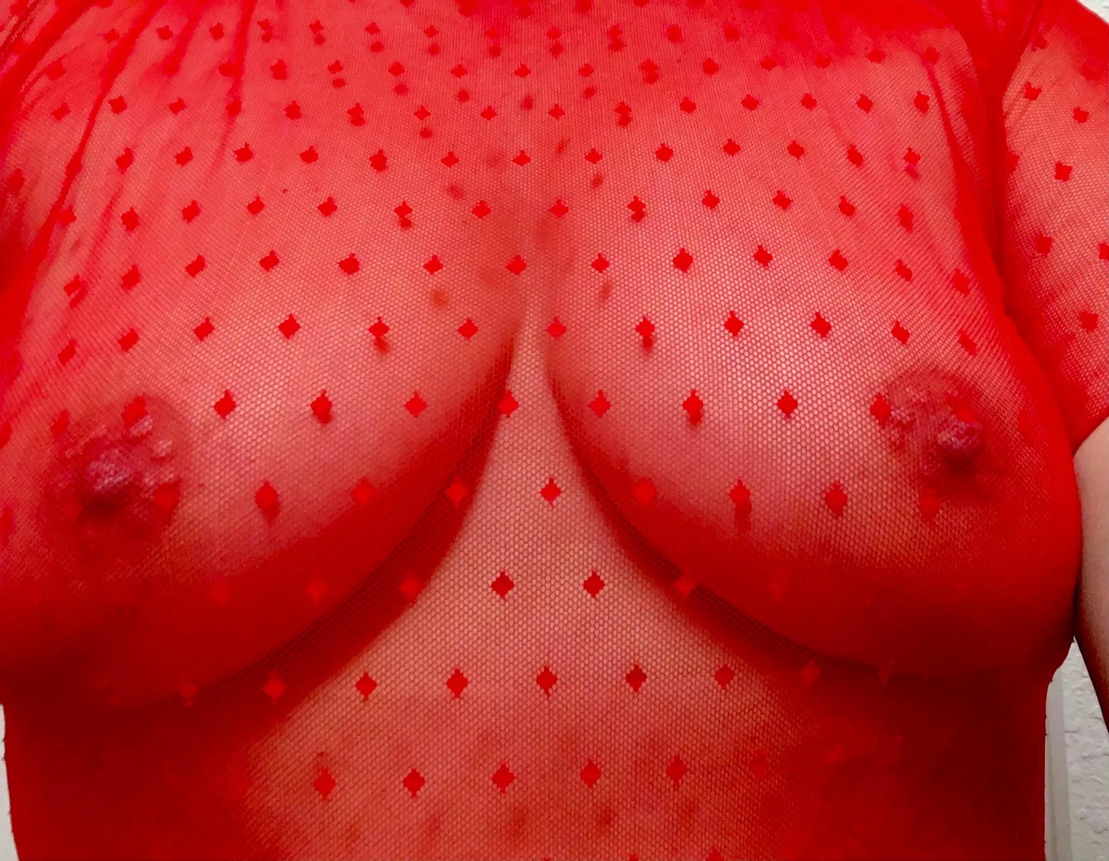 Happy Christmas [f]rom the girls to you 🎄