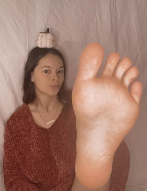 happy fall happy fall