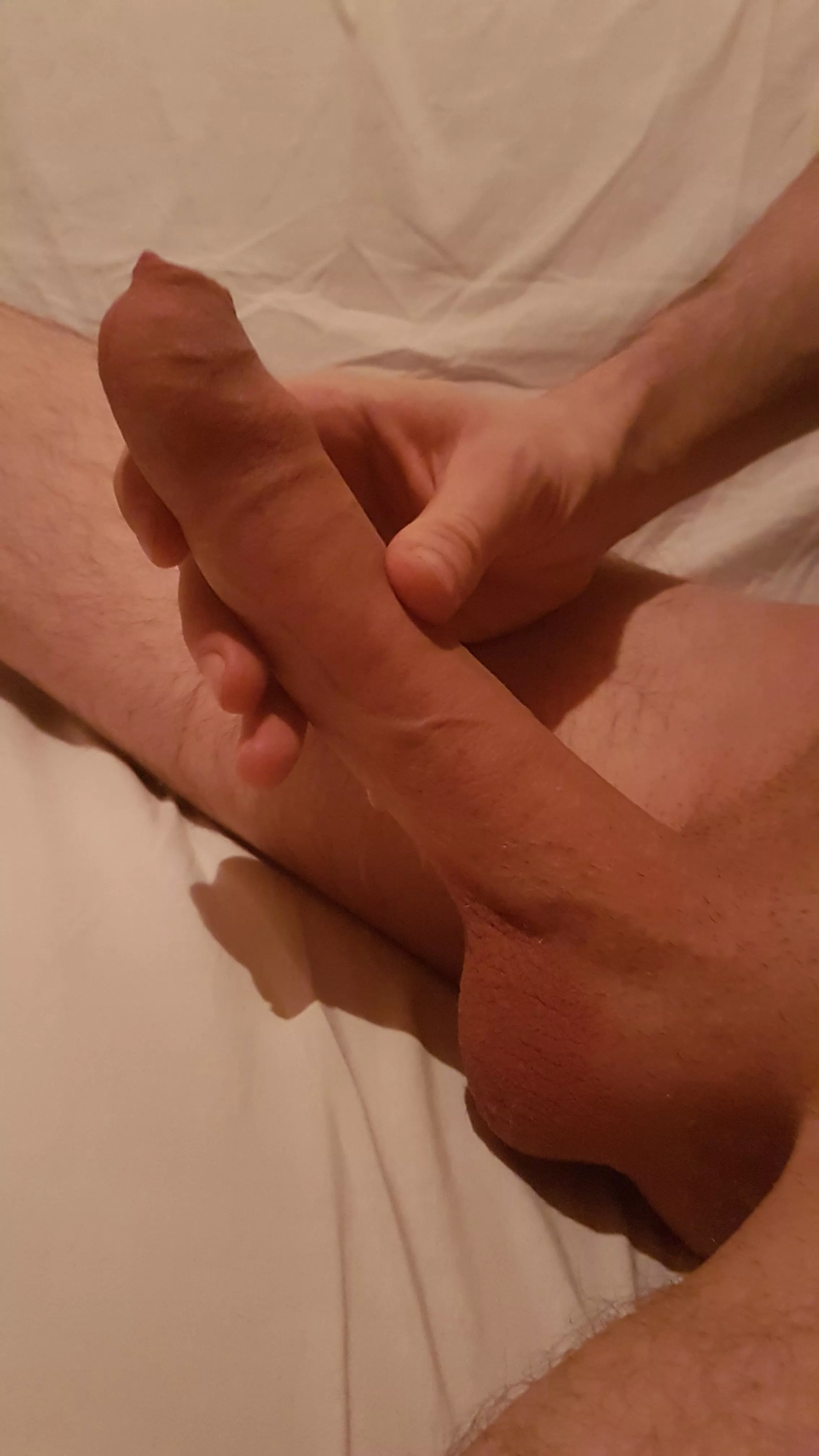 Happy Friday Happy Friday