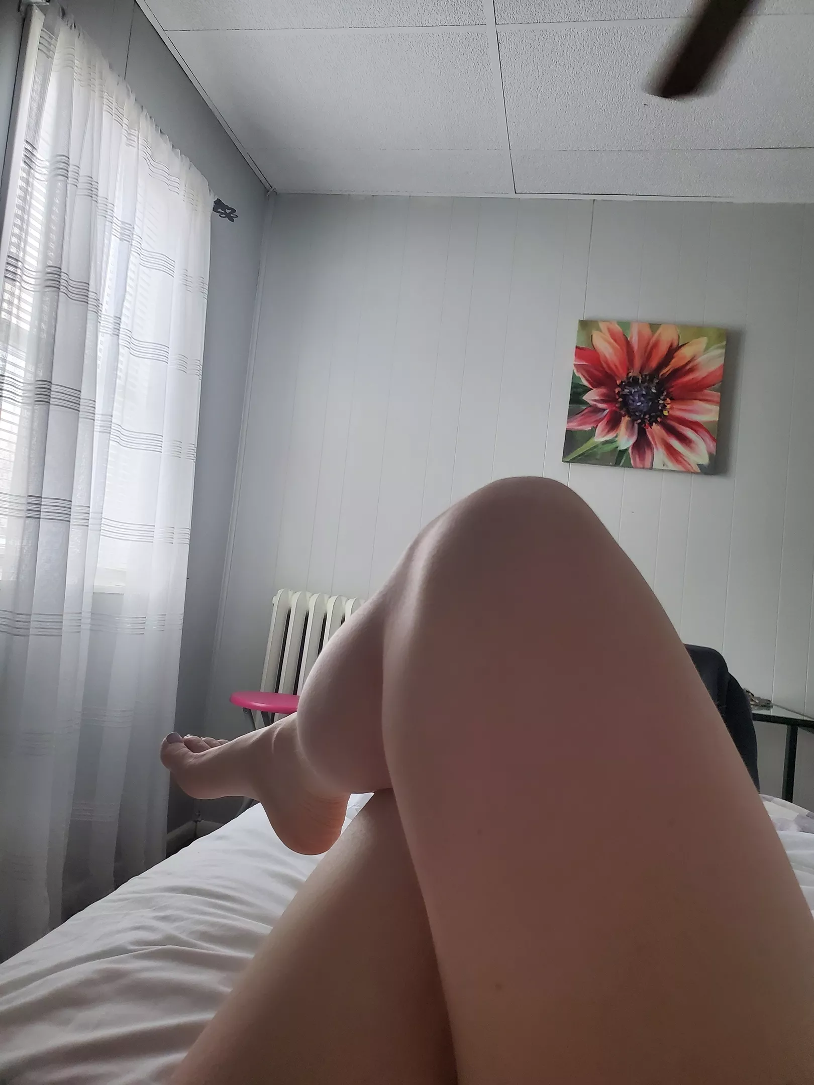 Happy Friday! 🙃 Happy Friday! 🙃