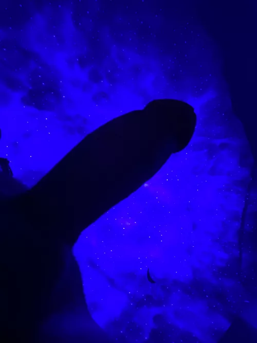 Happy Friday horn dogs everywhere!