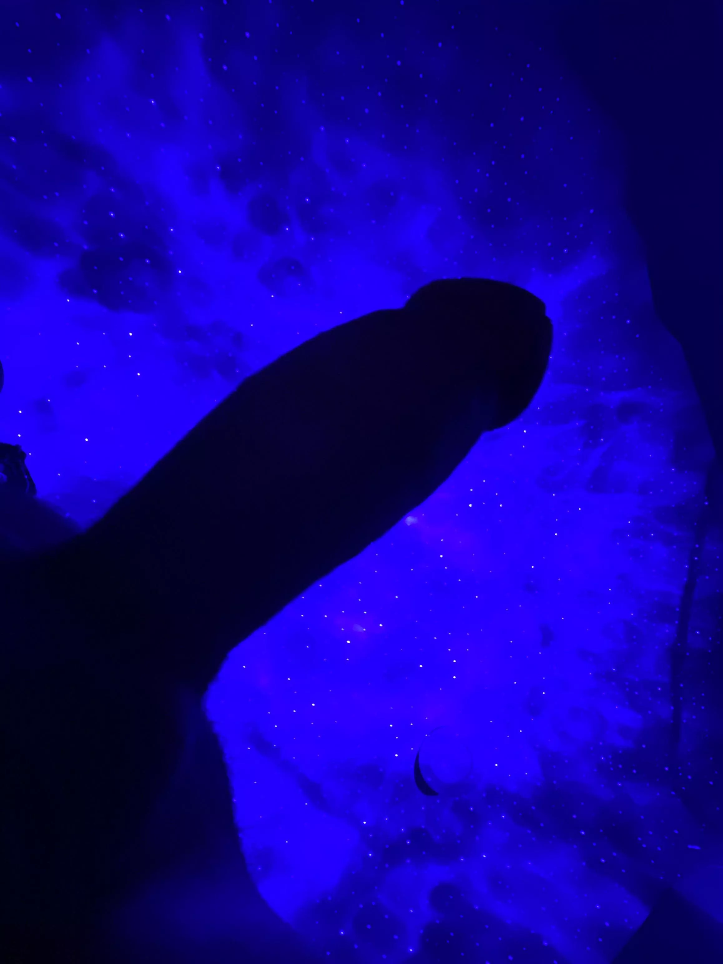 Happy Friday horn dogs everywhere!