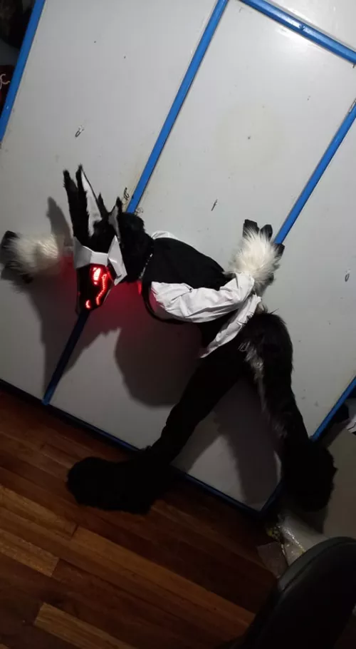 Happy fursuit friday! I dont even know what to call this pose lmao.