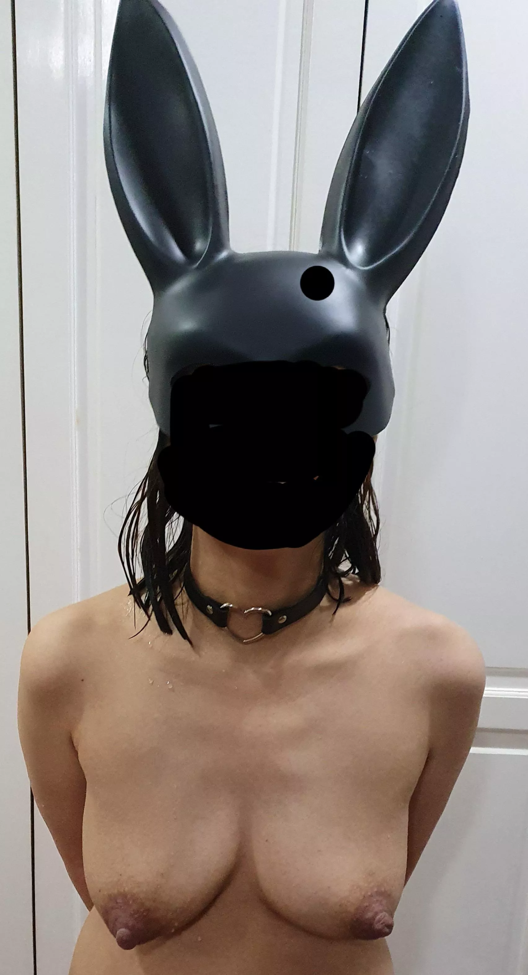 Happy Halloween! (F) Happy Halloween! (F)