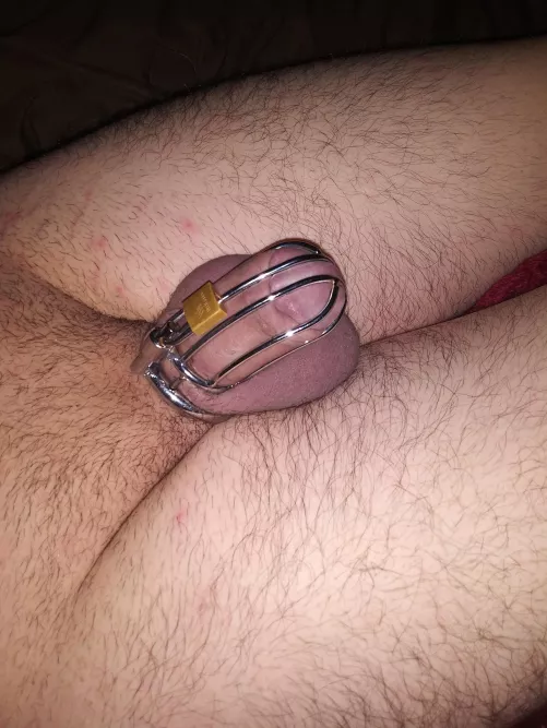 Happy Holidays, going to be locked for a while was my Christmas gift (locked 3 days ago)