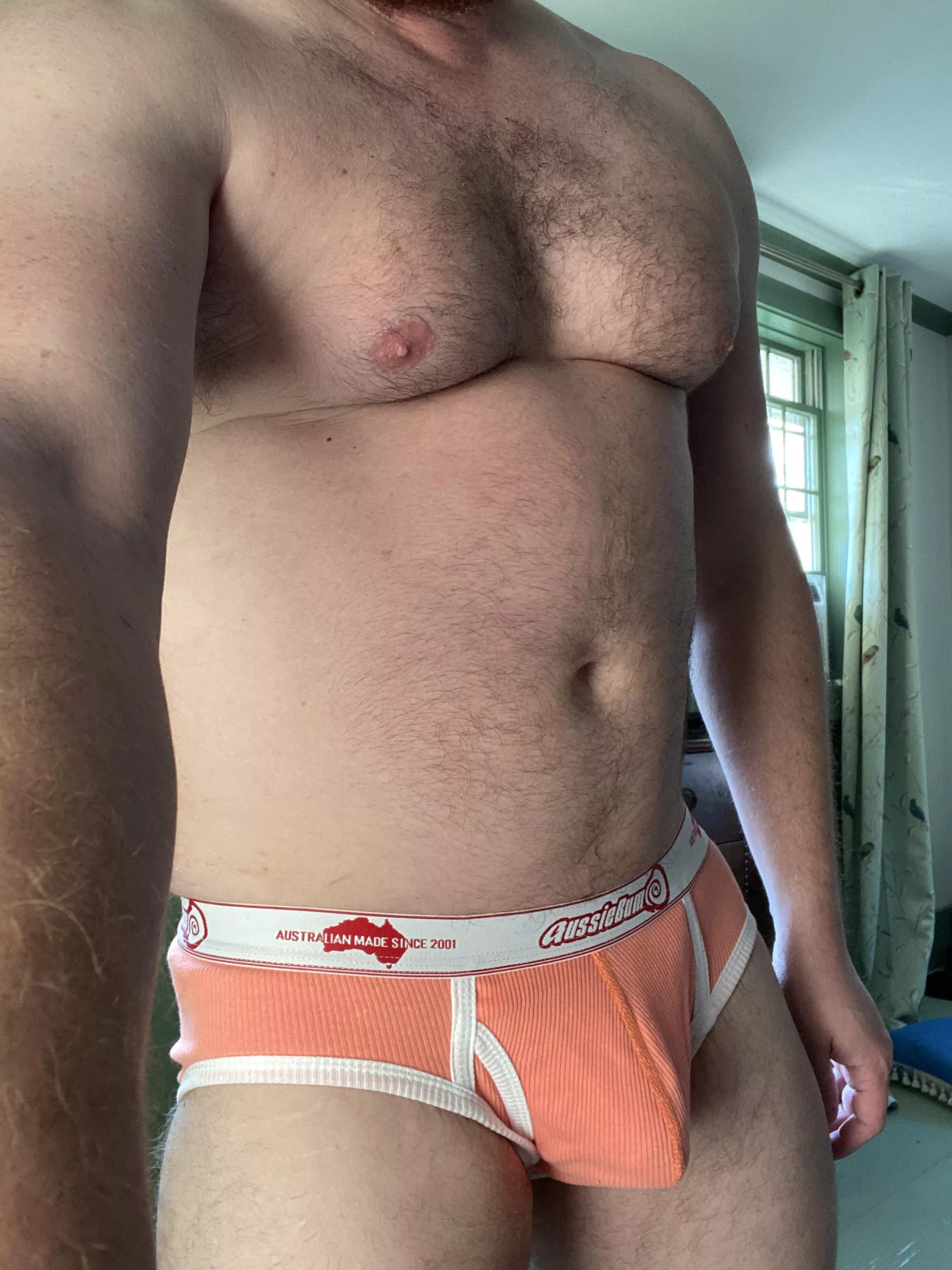 Happy hump day from me and my Aussiebums! ?