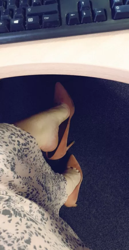 Happy Hump Day! Plenty of room under my desk if anyone wants to sneak in π€«π
