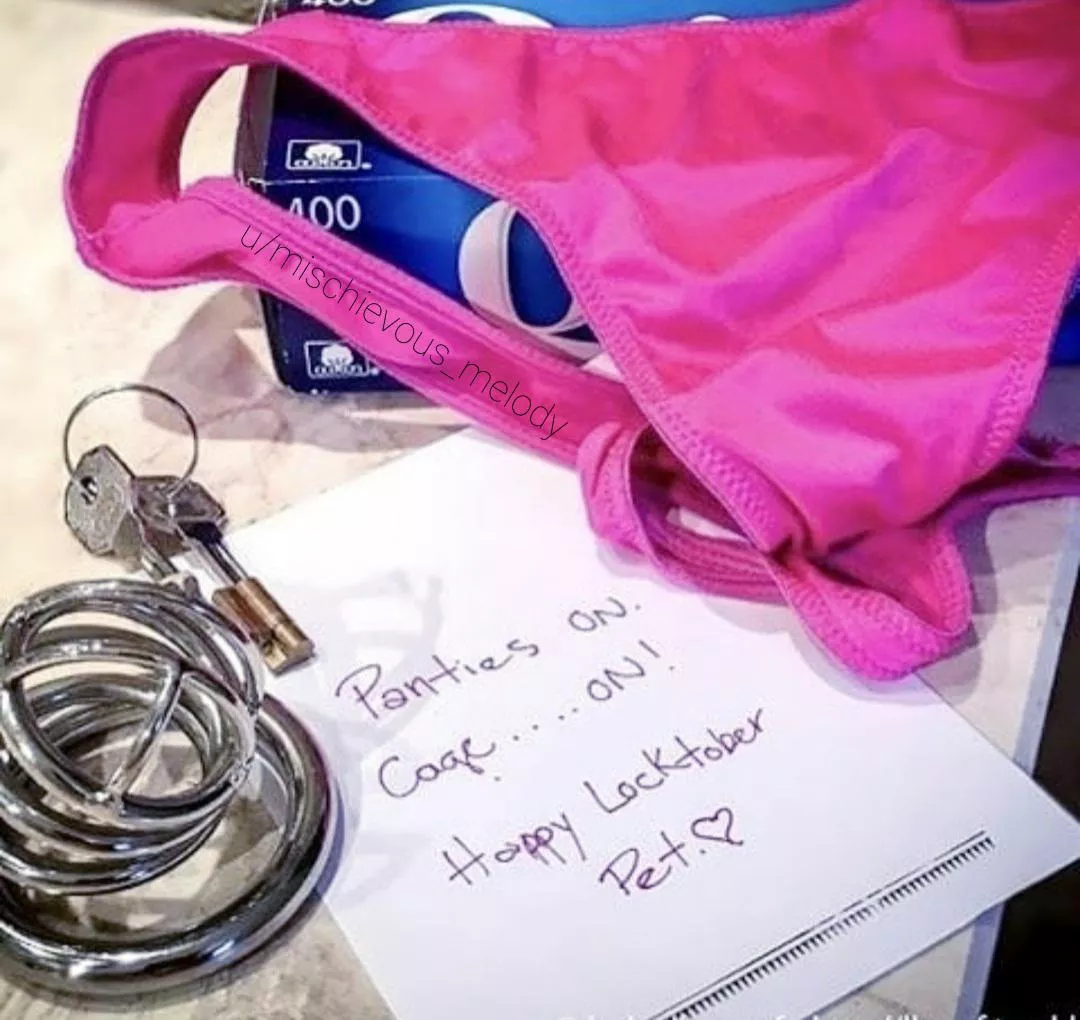 Happy Locktober, pet 💖 🔒 Happy Locktober, pet 💖 🔒