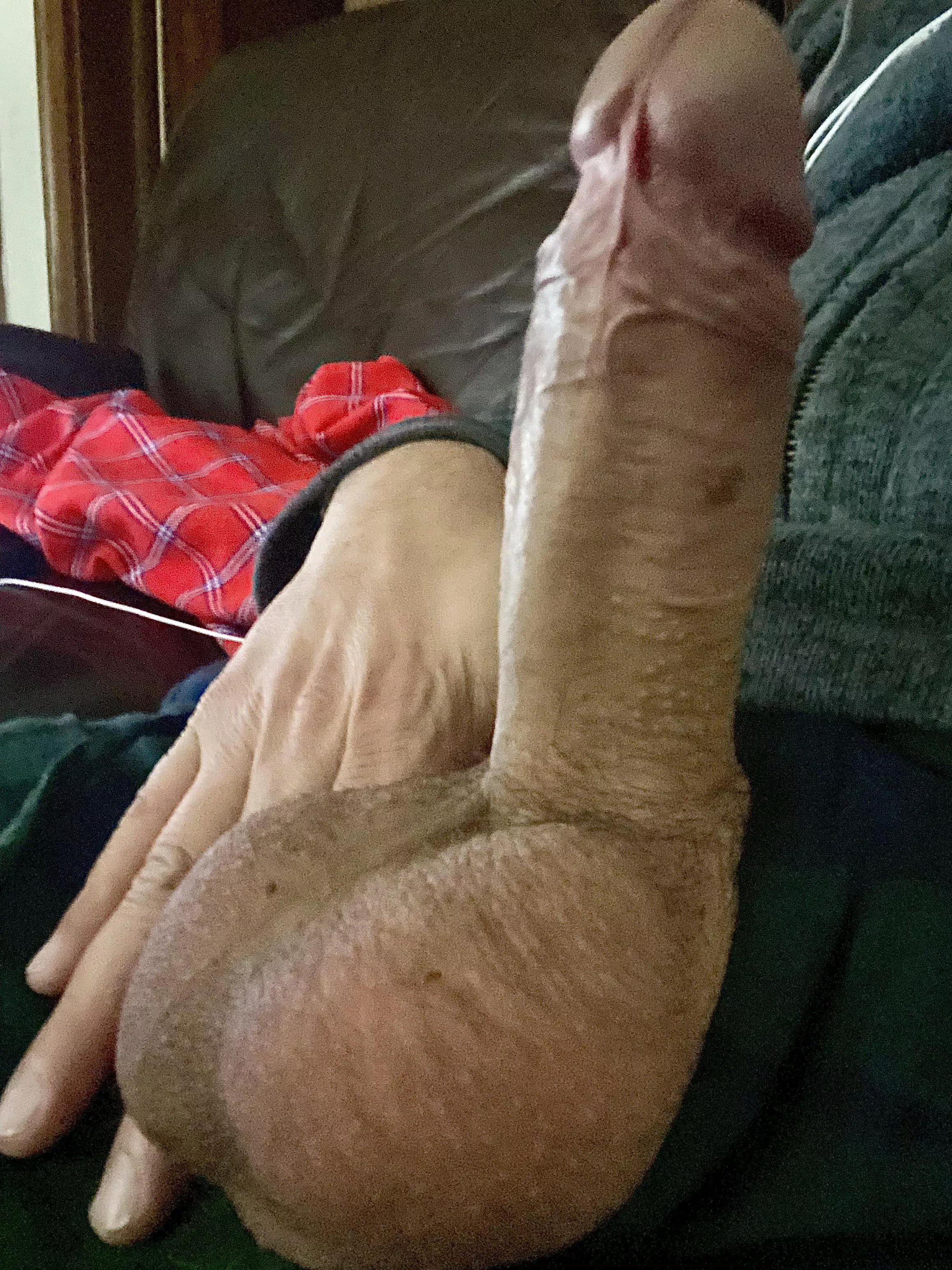 Happy new year! Happy new year!