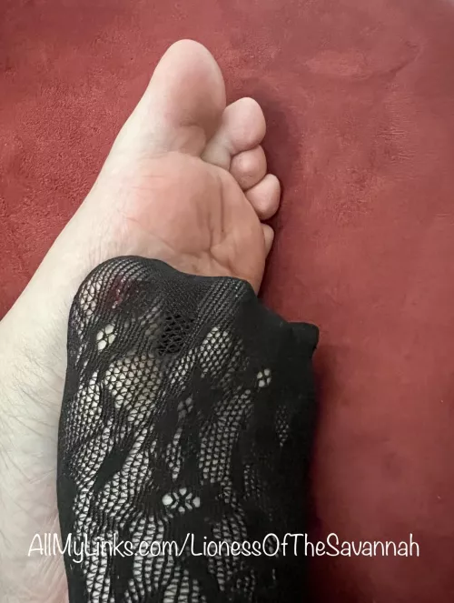 🎉 Happy New Year! 🥳 (F)