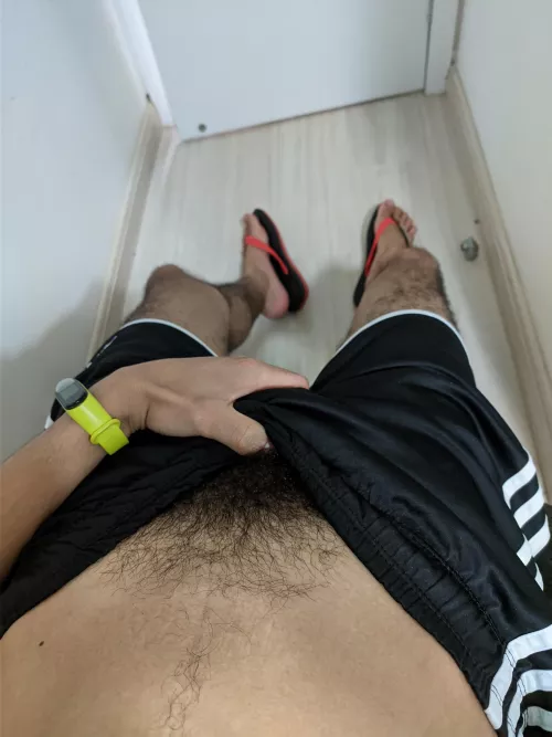 🌿Happy New Year🌿