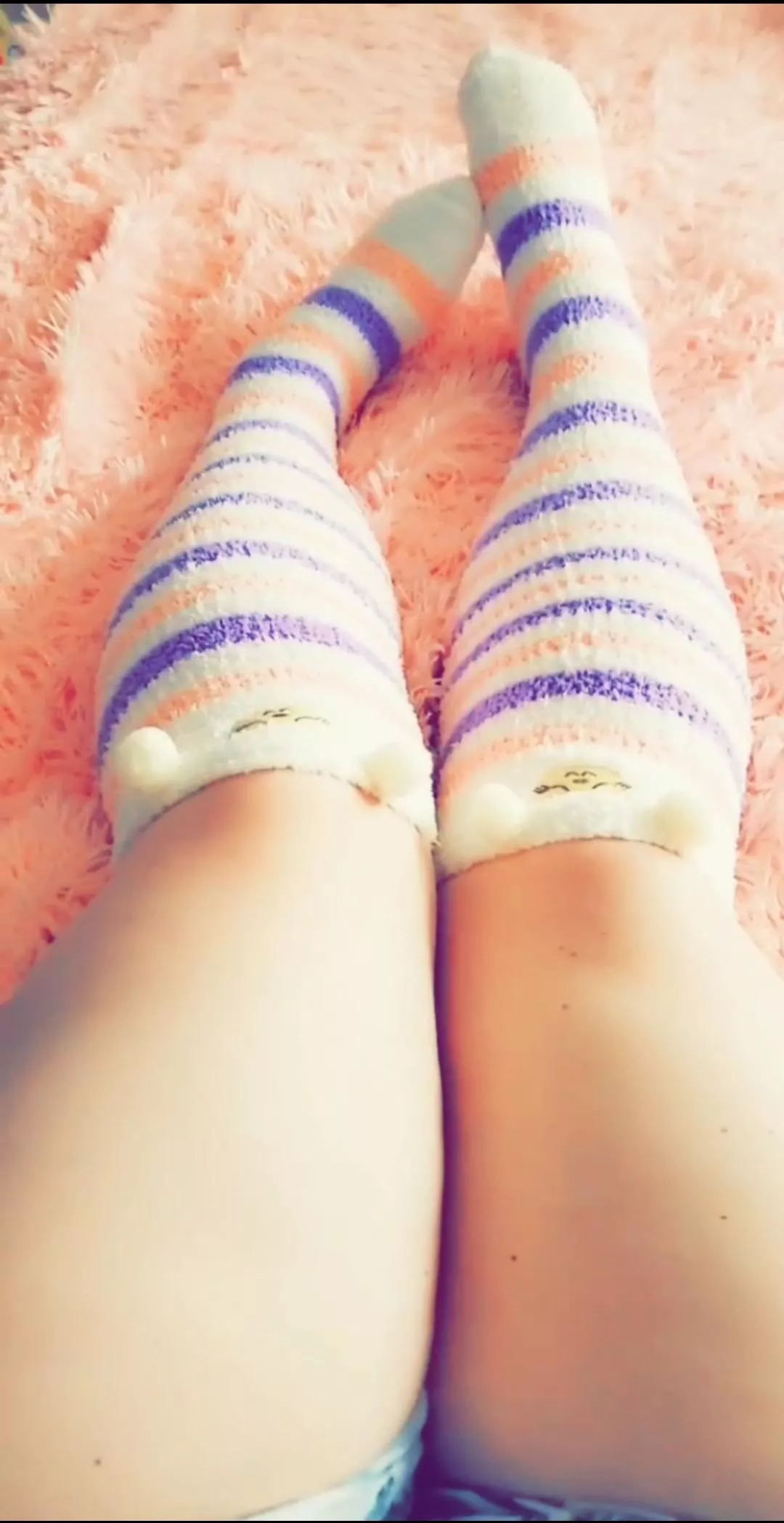 Happy New Year - little chonkasaurus rex