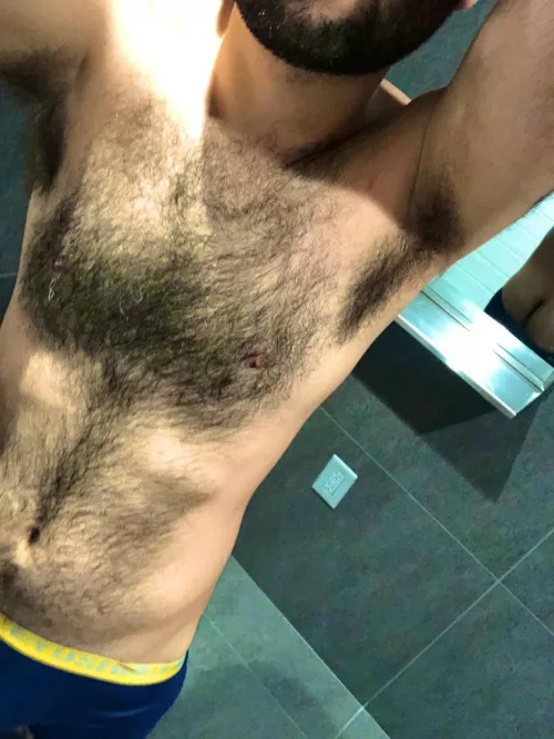 Happy new year, send furry chests and cake