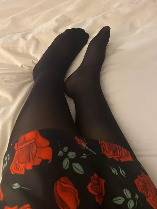 Happy Nylon Year!