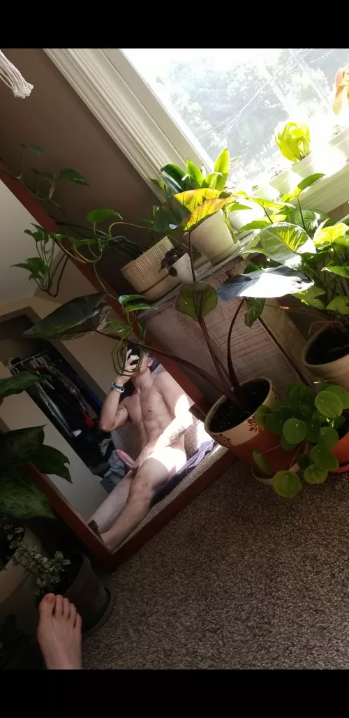 Happy Saturday, from me n my plants๐