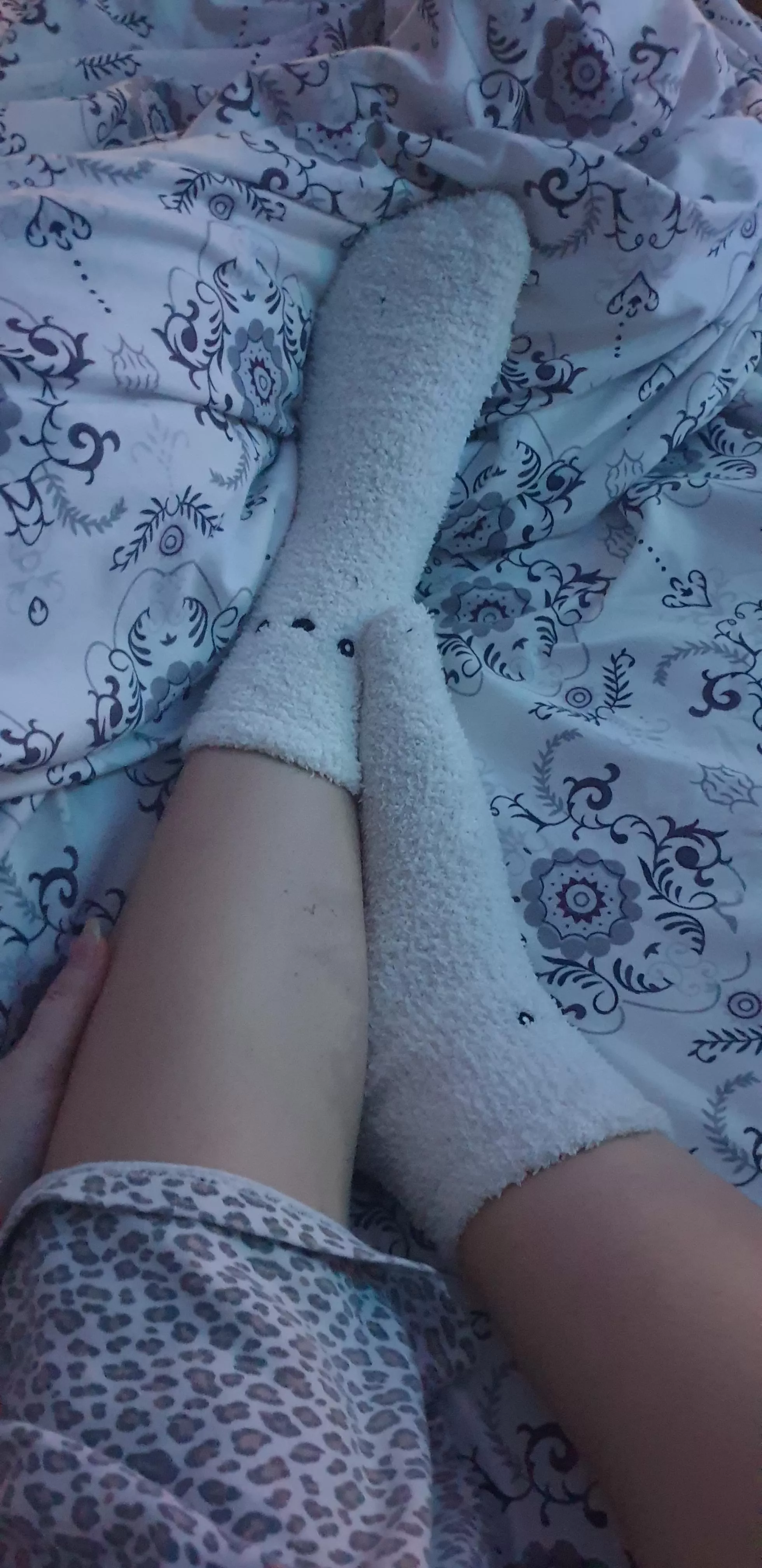 Happy socks 🥰