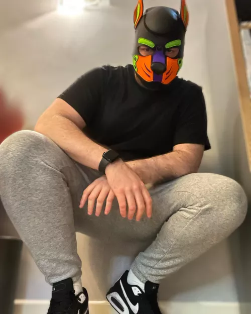 Happy Thanksgiving 💚💜🧡 Are you full yet?