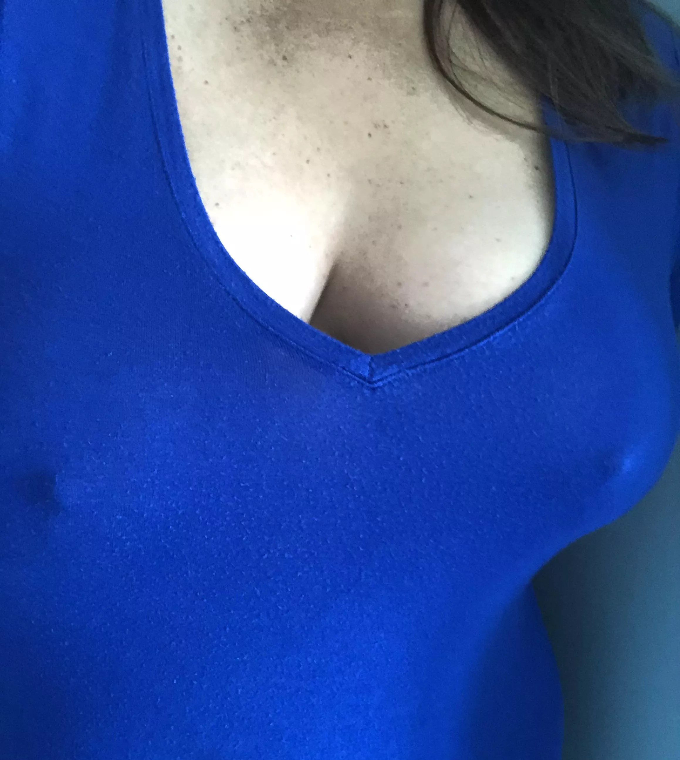 Happy Tuesday! Happy Tuesday!