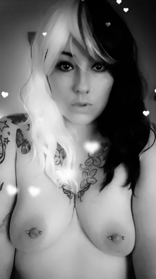 Happy Tuesday!! Happy Tuesday!!